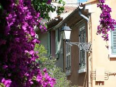 183 D23 BORMES LES MIMOSAS 1_000047